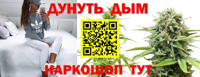 гидра Балахна