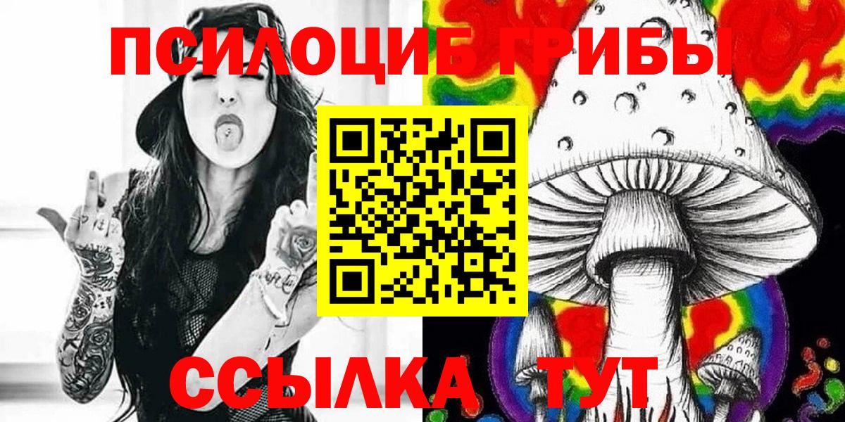 Балашиха  цена   Вход с VPN  Галлюциногенные грибы MAGIC MUSHROOMS  Псилоцибиновые грибы прущие грибы 
